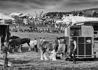 Showground BW.jpg